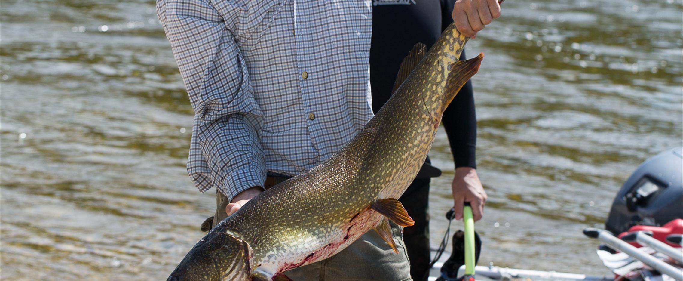 Сплав и рыбалка на реке Амга в Якутии