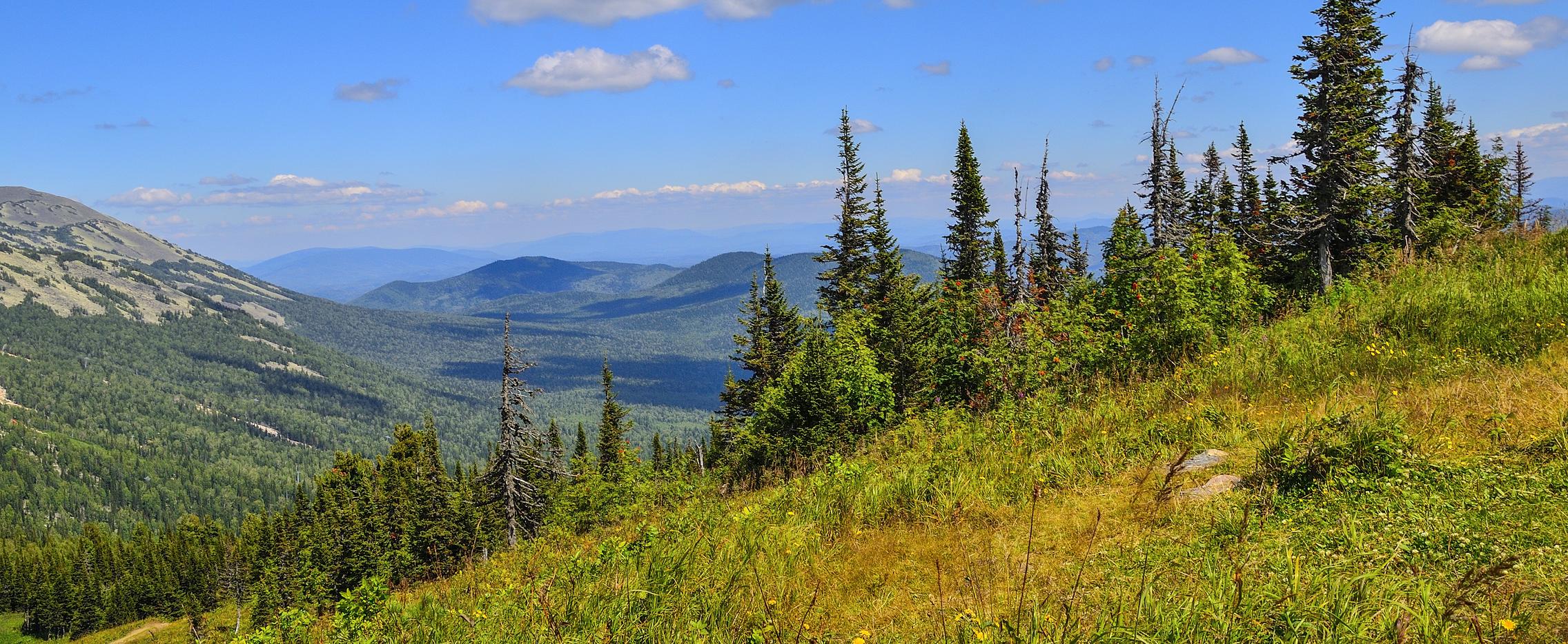 Большое путешествие по Западной Сибири