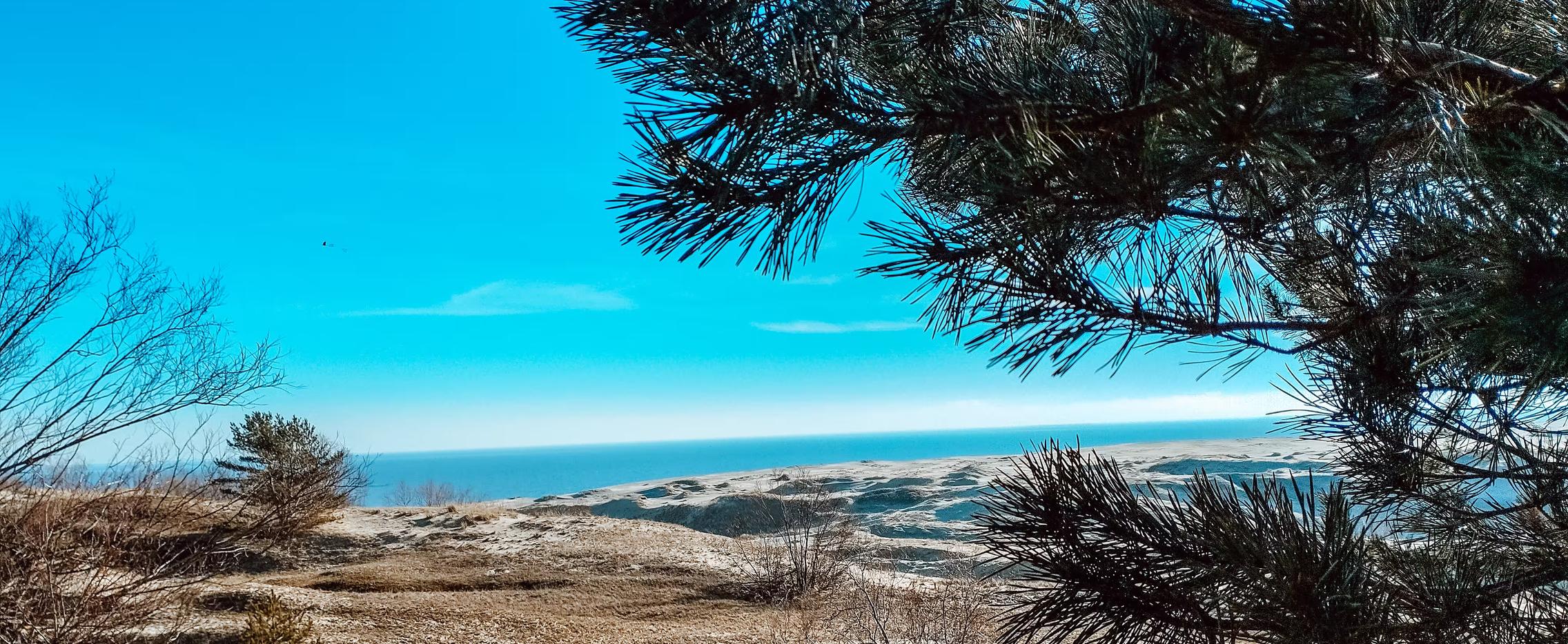 Янтарный вояж. Экскурсионный тур в Калининградскую область на 7 дней