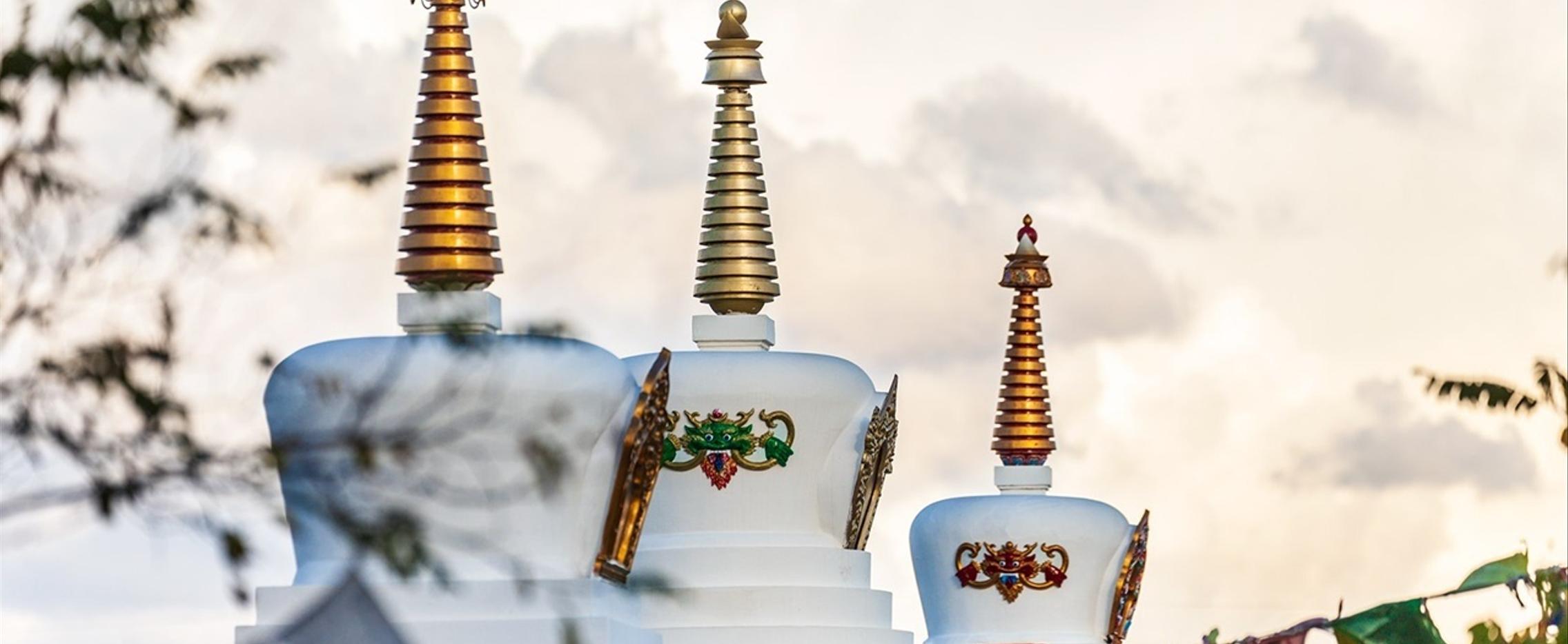 Дыхание степи. Сокращенная программа релакс-тура в Калмыкию