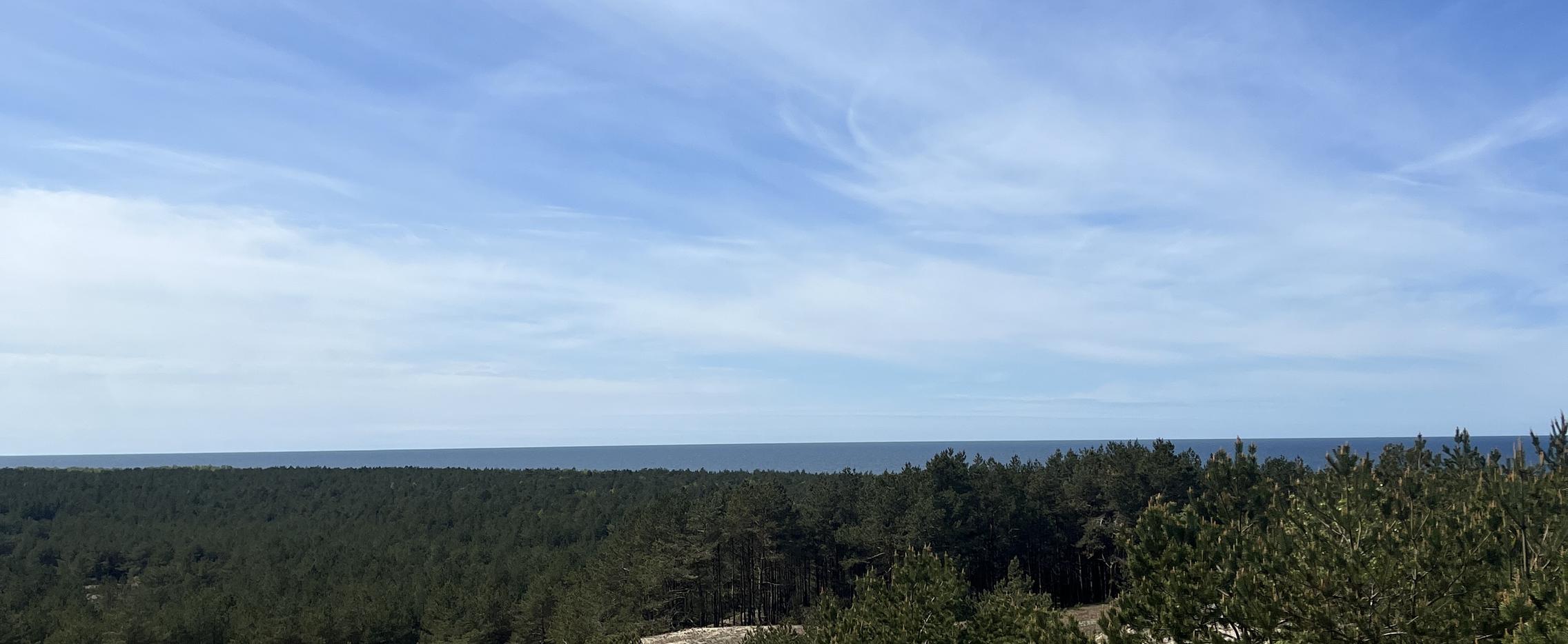 Янтарный вояж. Экскурсионный тур в Калининградскую область на 4 дня