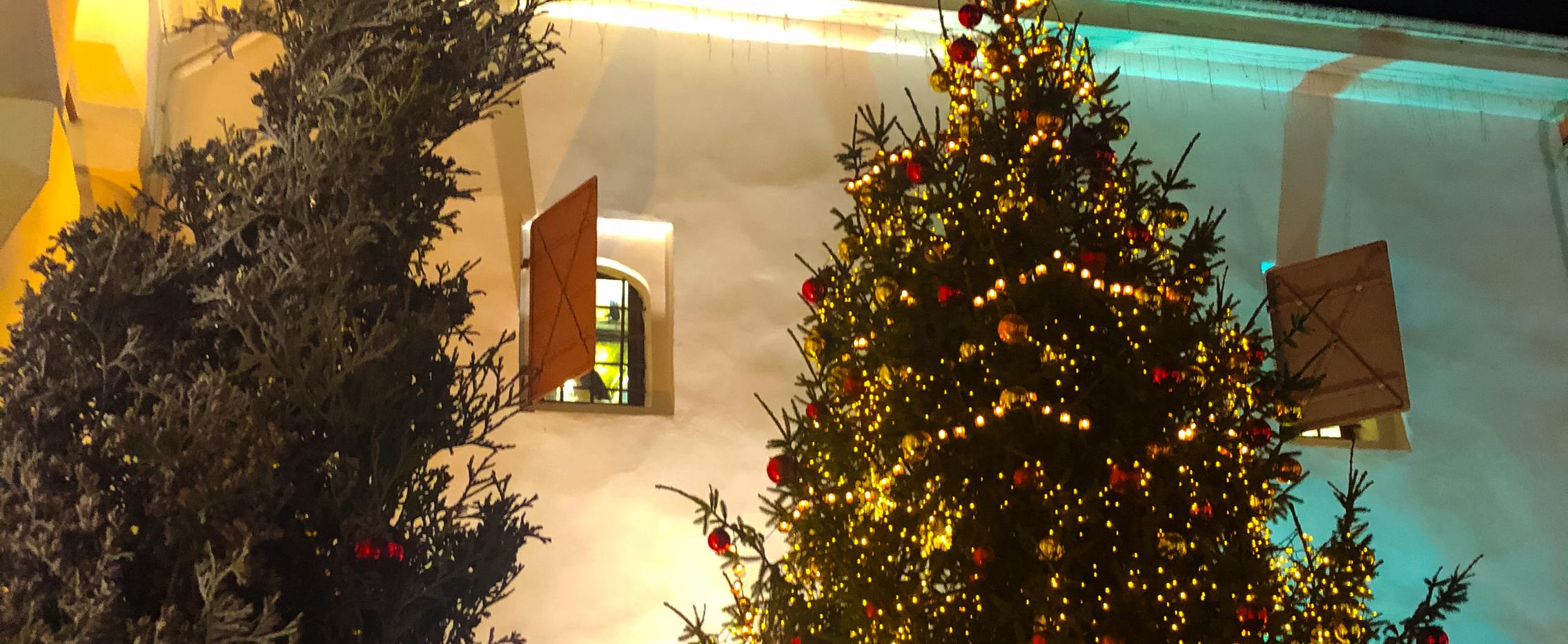 Новый год в Пскове. Автобусный тур из Санкт-Петербурга