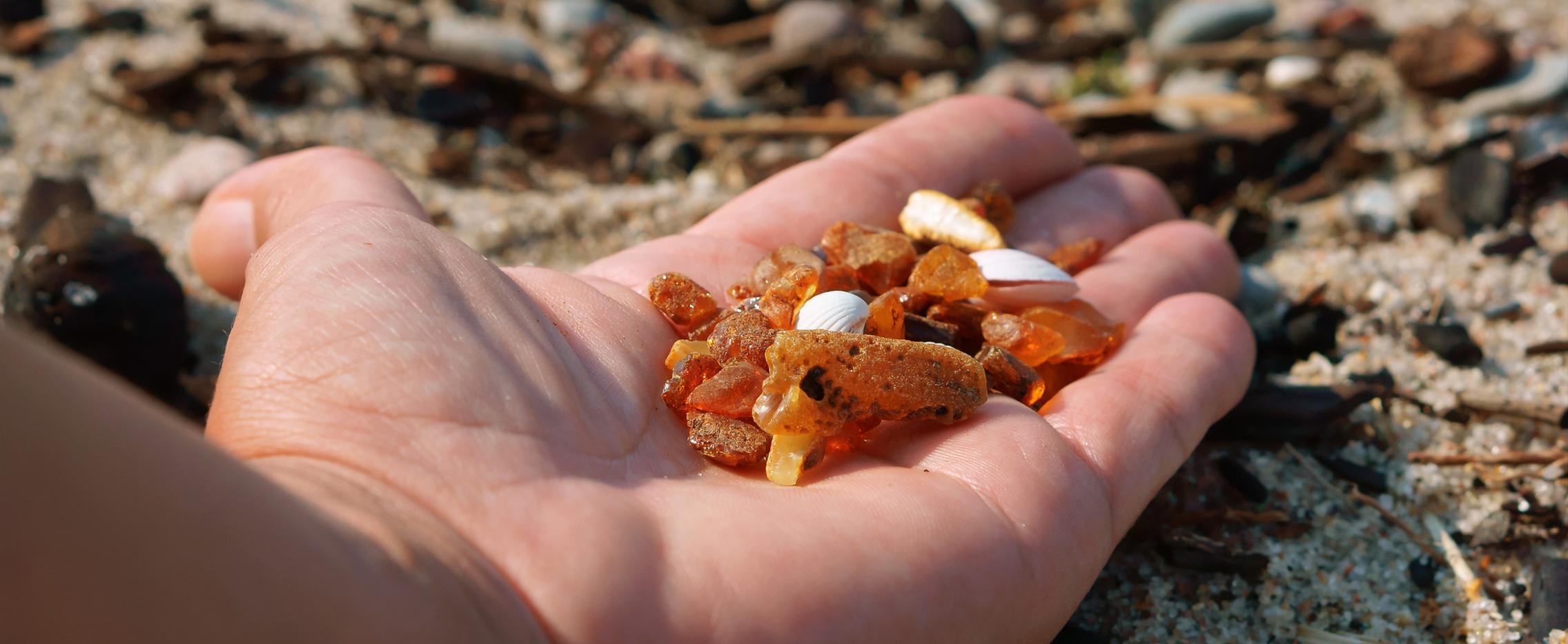 Янтарный вояж. Экскурсионный тур в Калининградскую область на 8 дней