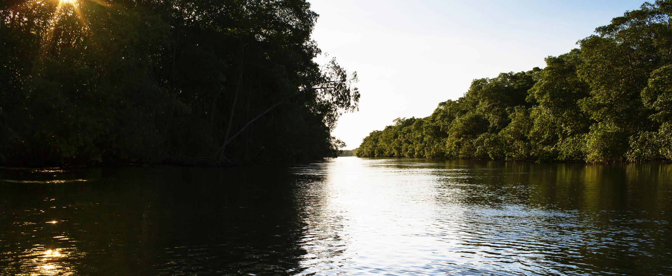 На байдарках по реке Пра за 8 дней