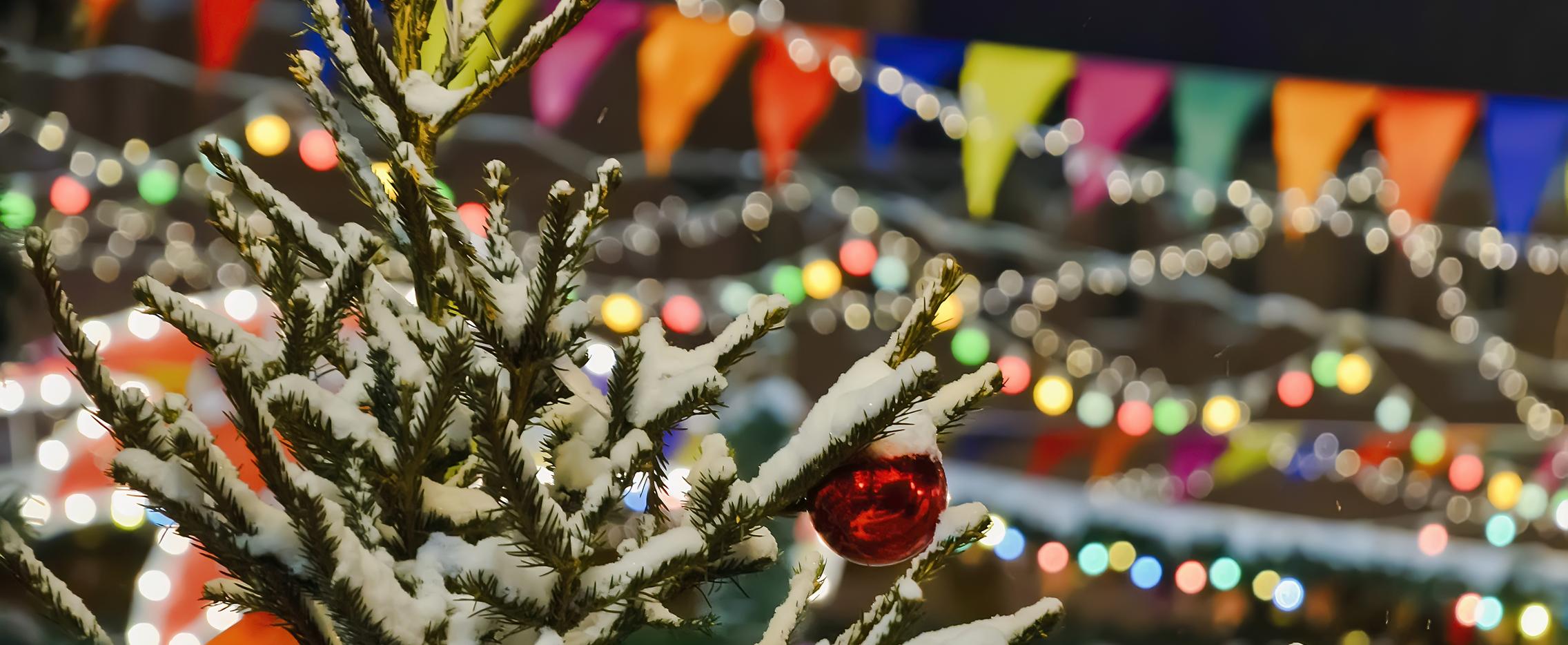 Новогодняя сказка у Деда Мороза. Тур в Великий Устюг на 3 дня