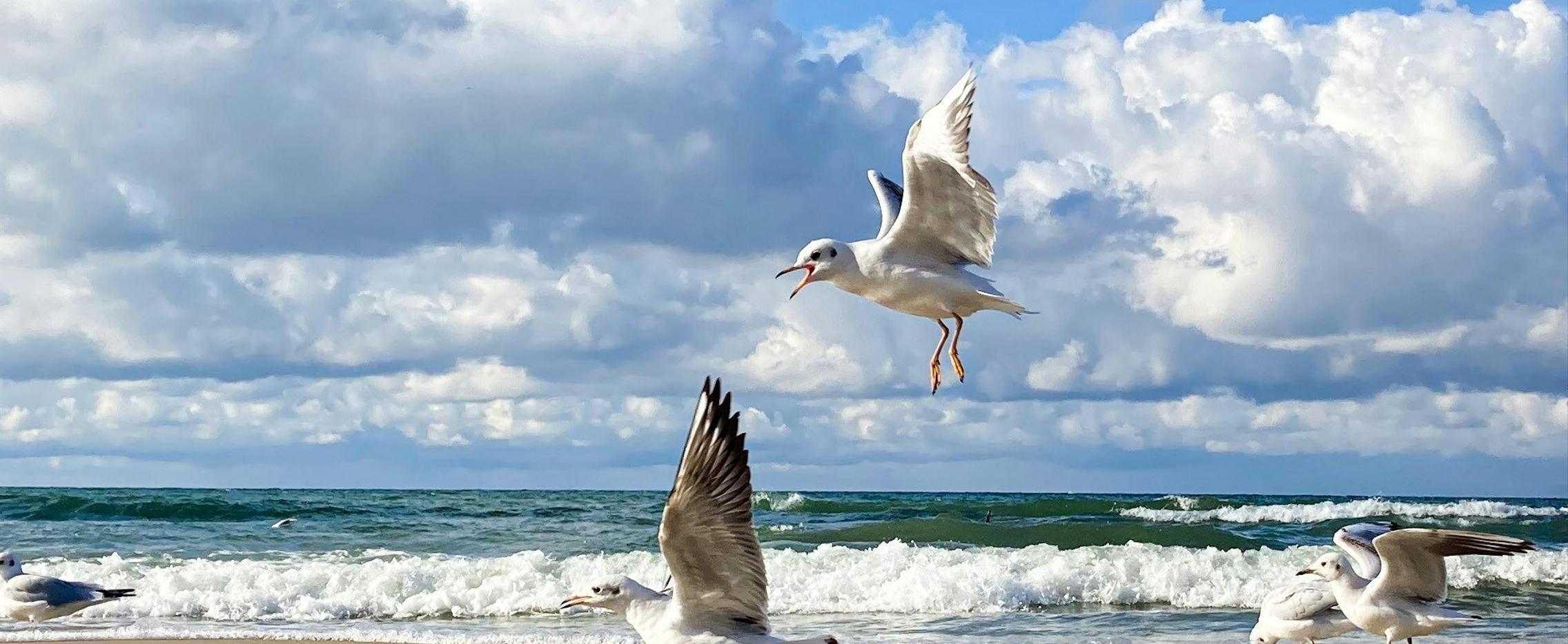 Семейные выходные в Кранце. Тур в Калининградскую область