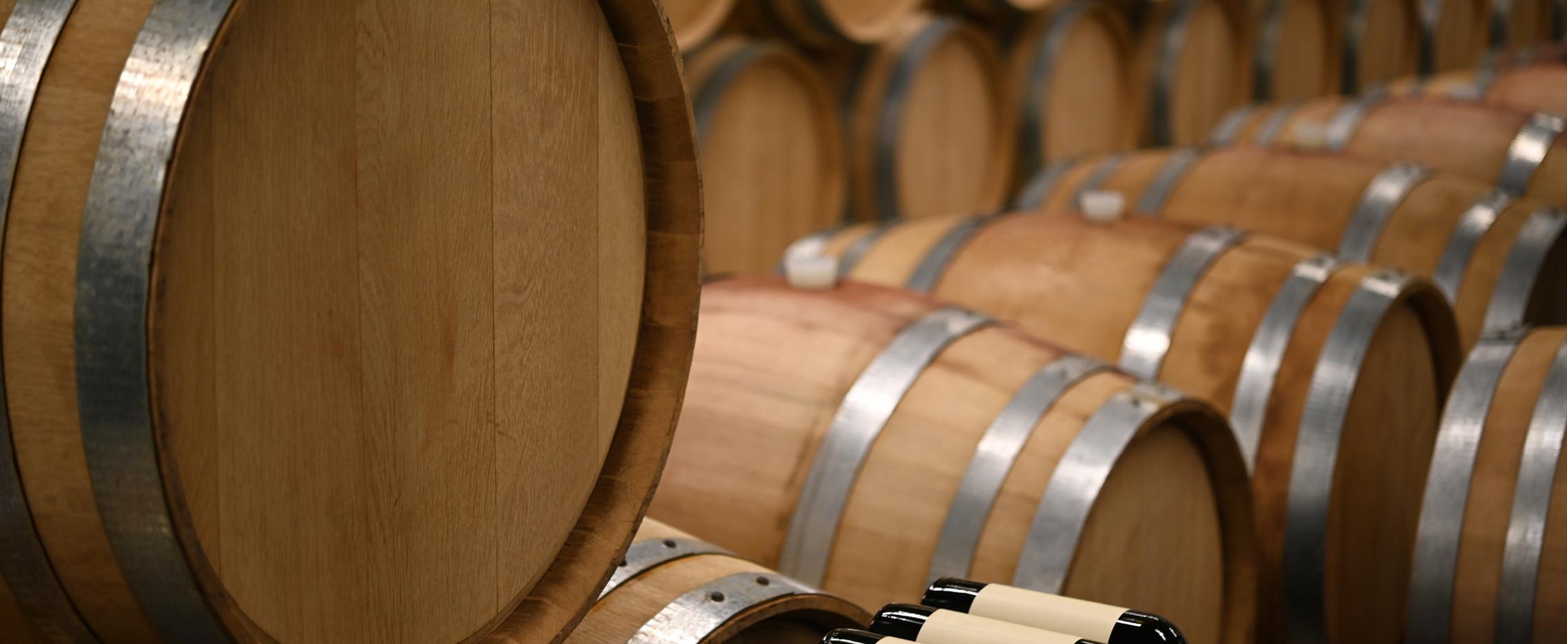 Цветущая степь Калмыкии с посещением винодельни