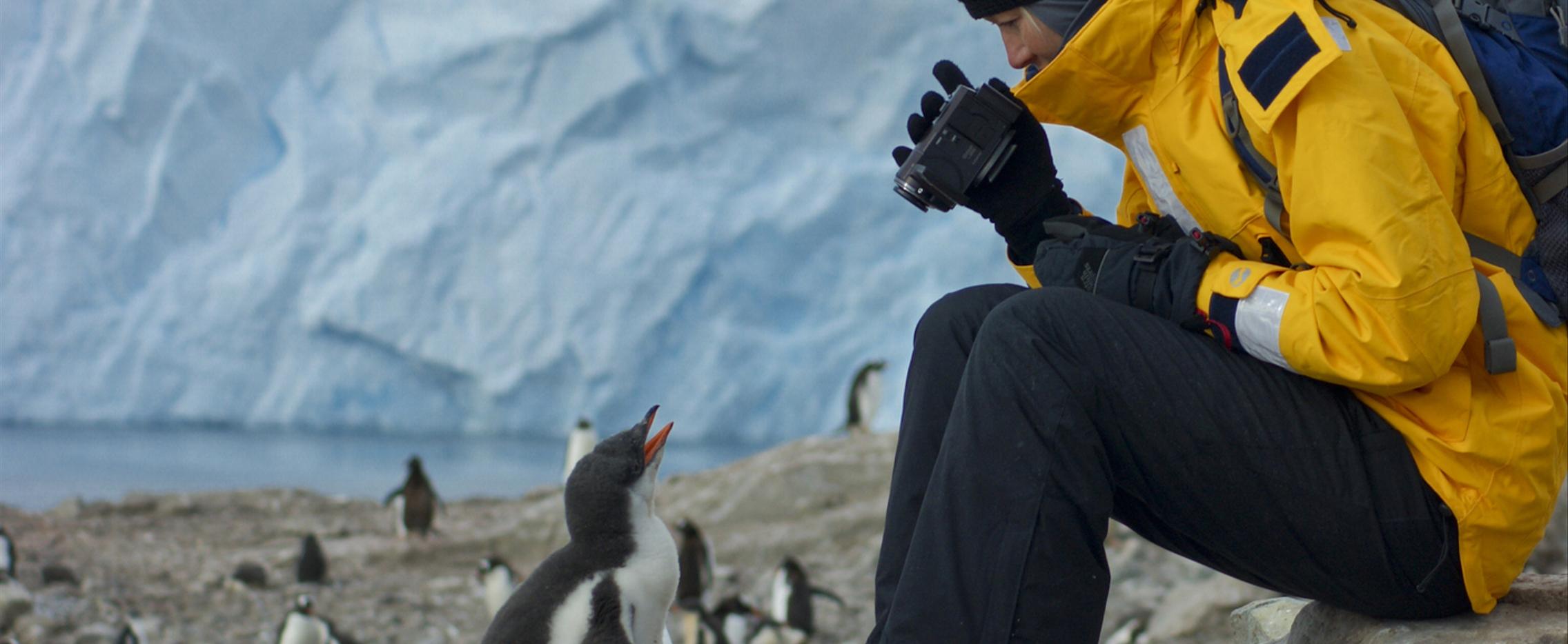 Познавательный круиз в Антарктиду на судне Hondius