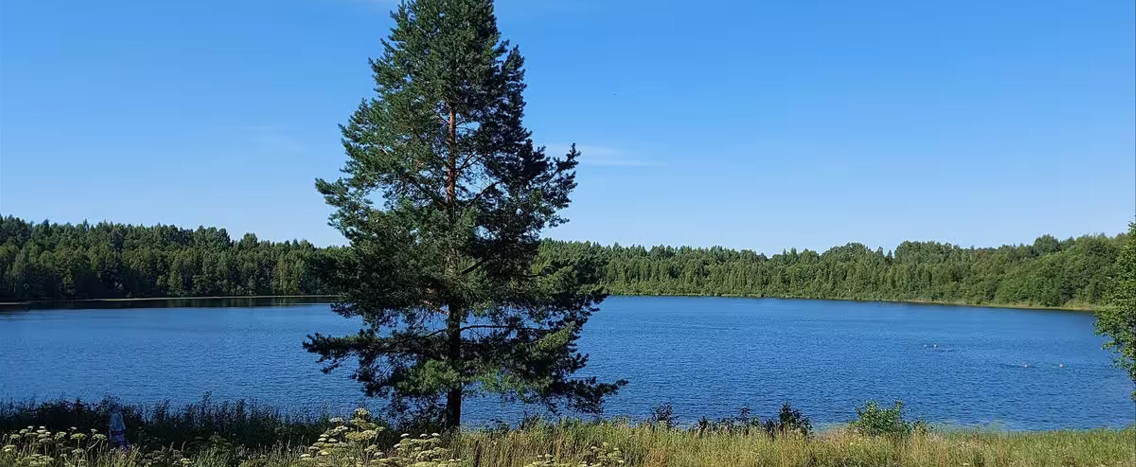 По следам графа Шереметева. Н. Новгород — Озеро Светлояр — Шереметевский Замок