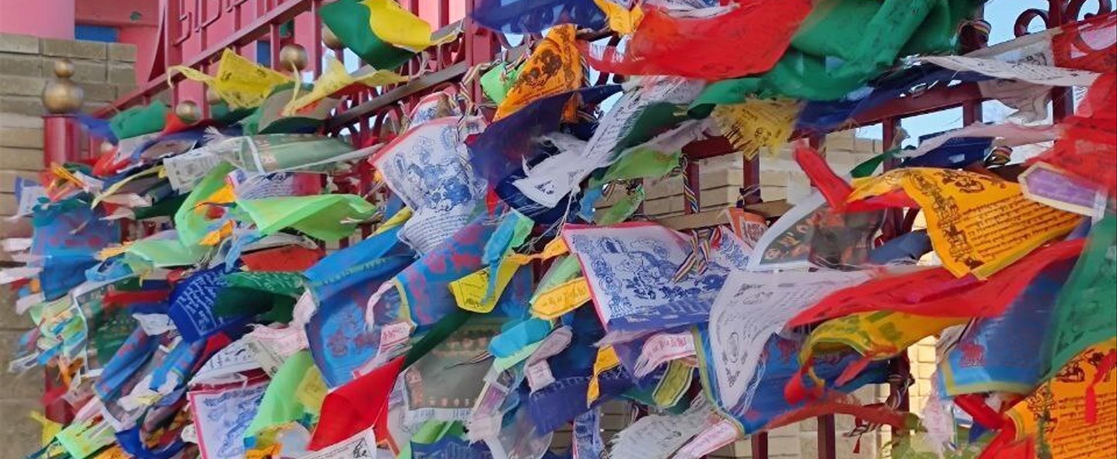 Новогодний тур в Калмыкию