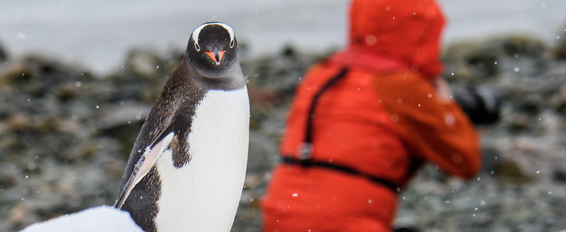 Одиссея по следам Жана-Батиста Шарко