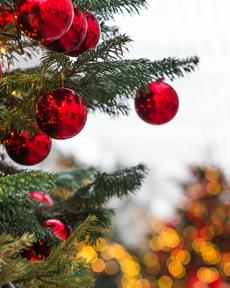 Куда поехать на Новый год 2025—2026: топ направлений, где провести праздники