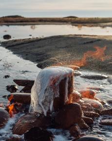 Розовое озеро, горящая вода и редкие животные — зачем еще ехать в Калмыкию