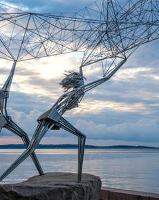 Петрозаводск: набережная у Онежского озера, наследие Петра I и ботанический сад