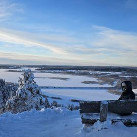Зимняя сказка в Приладожье