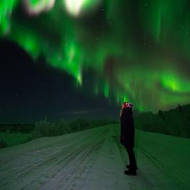 Выходные на Кольском: сияние, Мурманск, Териберка и хаски-парк