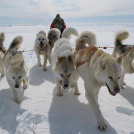 Новый год и Рождество на Крайнем Севере. Экспедиция Northern Heroes