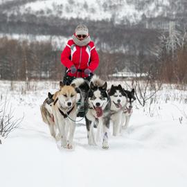Новый год на Камчатке