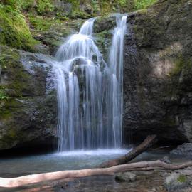 Четыре истории Владивостока. Лето