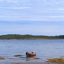 В гостях у поморов: острова Белого моря