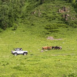 Погружение в Алтай: кони, сплав и треккинг