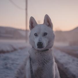 Карельская сказка