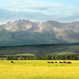 Через горы, через лес. Пеший поход с экскурсиями