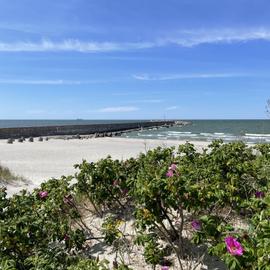 Янтарное кольцо. Экскурсионный тур по Калининградской области