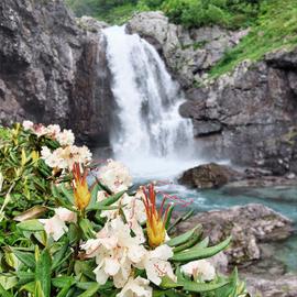Треккинг в Дамхурц. Карачаево-Черкесия