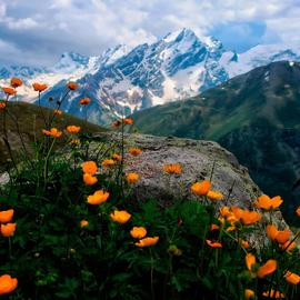 Горный лагерь в Северной Осетии. Дигорское ущелье