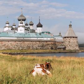 Белые ночи. Обзорный тур по Карелии и Соловкам