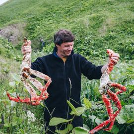 Кунашир — «черный» остров Курильской гряды