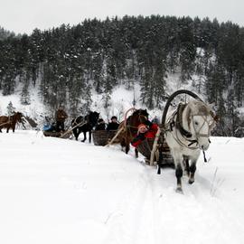 Уральский мультиактив