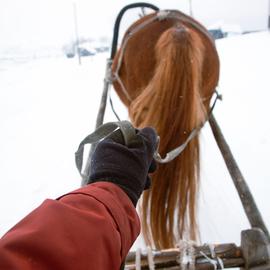 Конно-санный экспресс. Зимний тур в Башкирию
