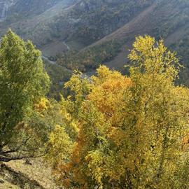 Яркая осень в Архызе. Конный тур