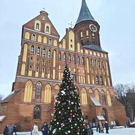Рождественский тур в Калининград