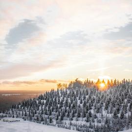 Башкирский сок зимой
