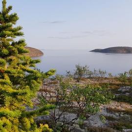 Тайны Белого моря. Архипелаг Кузова