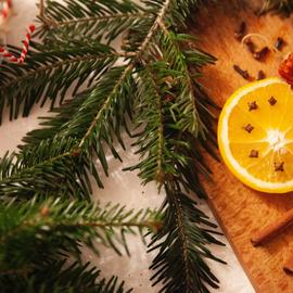 Пряный вкус Новогодней столицы: автобусный тур в Рязань из Москвы