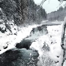 Бренды Карелии. Зимне-весеннее путешествие с загородным отдыхом