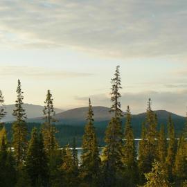 Лапландский заповедник