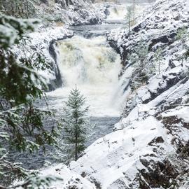 Международный женский день в Карелии