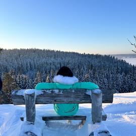 Зимняя сказка в Карелии. Комфорт. Глэмпинг, природа и активности