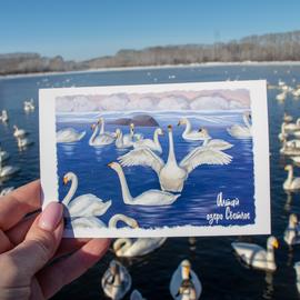 Пейзажи Алтая