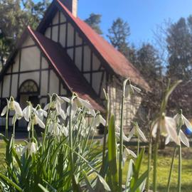 Красоты Янтарного побережья. Тур в Калининградскую область на 8 марта