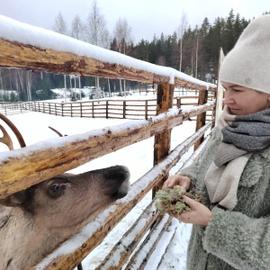 Февральские каникулы в Карелии