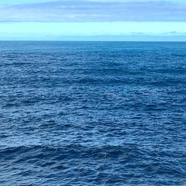 Санкт-Петербург – Валаам – Санкт-Петербург на теплоходе Ленин