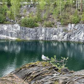 Железнодорожный круиз в Карелию весной с посещением поместья Деда Халла