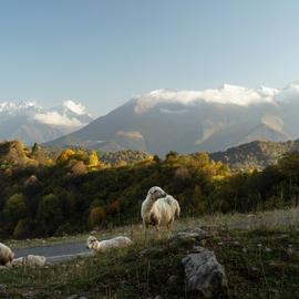 Объятия осеннего Кавказа. Экскурсионный тур