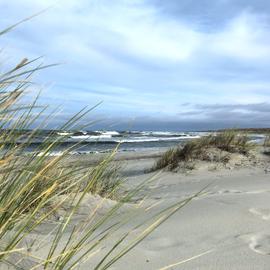 Активная неделя в Калининграде